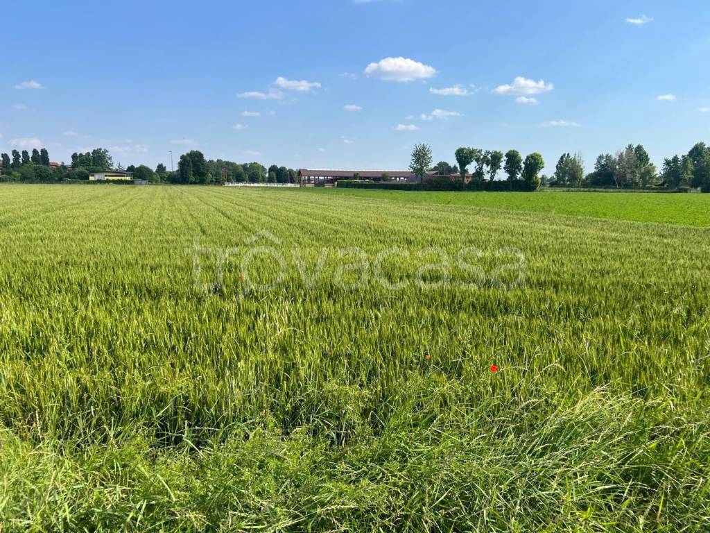 immagine annuncio 4 di 14