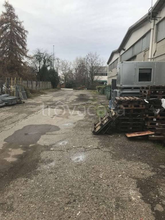 immagine annuncio 1 di 6