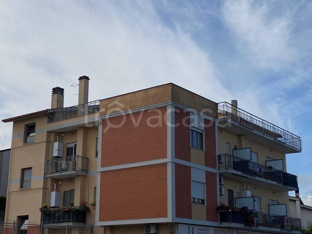 immagine annuncio 1 di 11