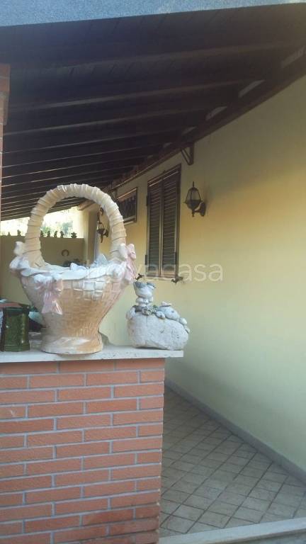 immagine annuncio 4 di 12