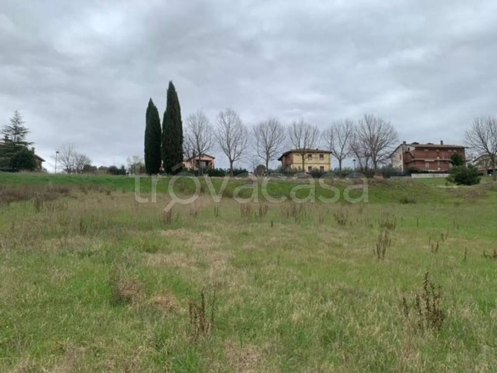 immagine annuncio 4 di 6