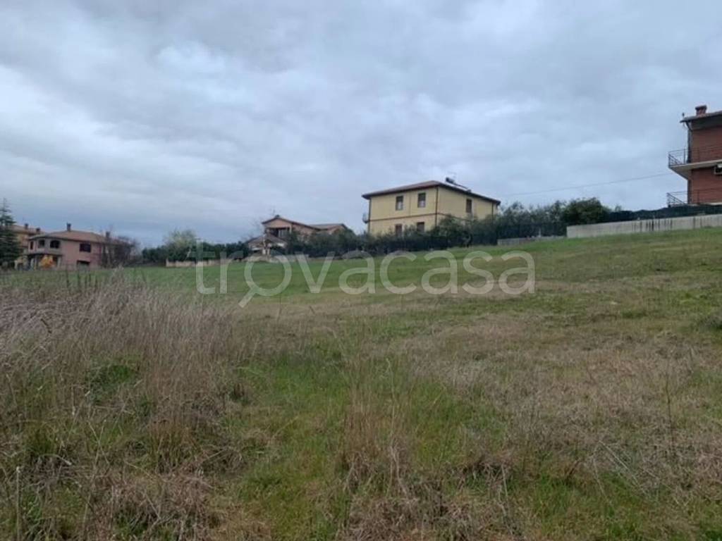 immagine annuncio 5 di 6