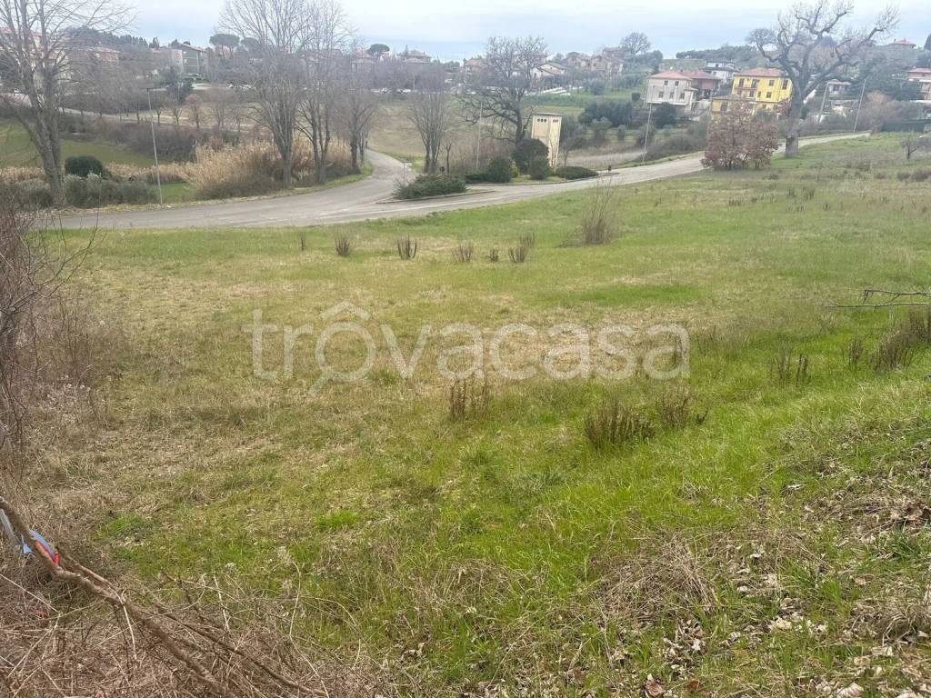 immagine annuncio 3 di 4