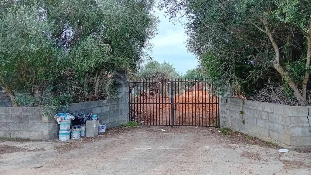 immagine annuncio 9 di 13