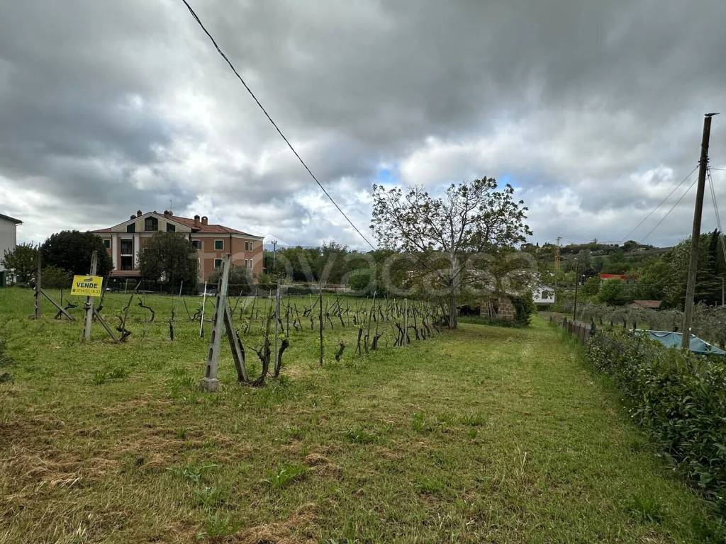 immagine annuncio 2 di 13