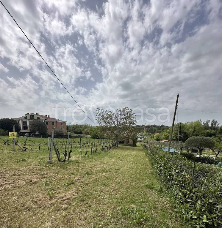 immagine annuncio 9 di 13