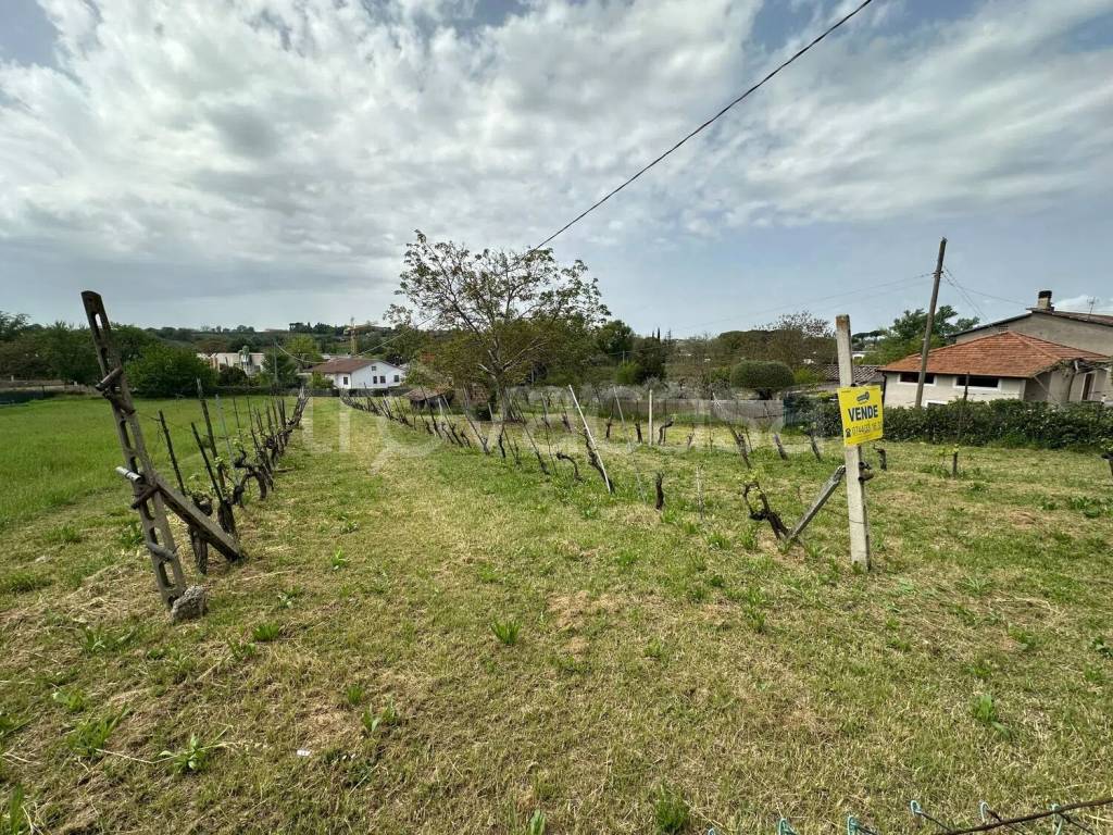 immagine annuncio 11 di 13