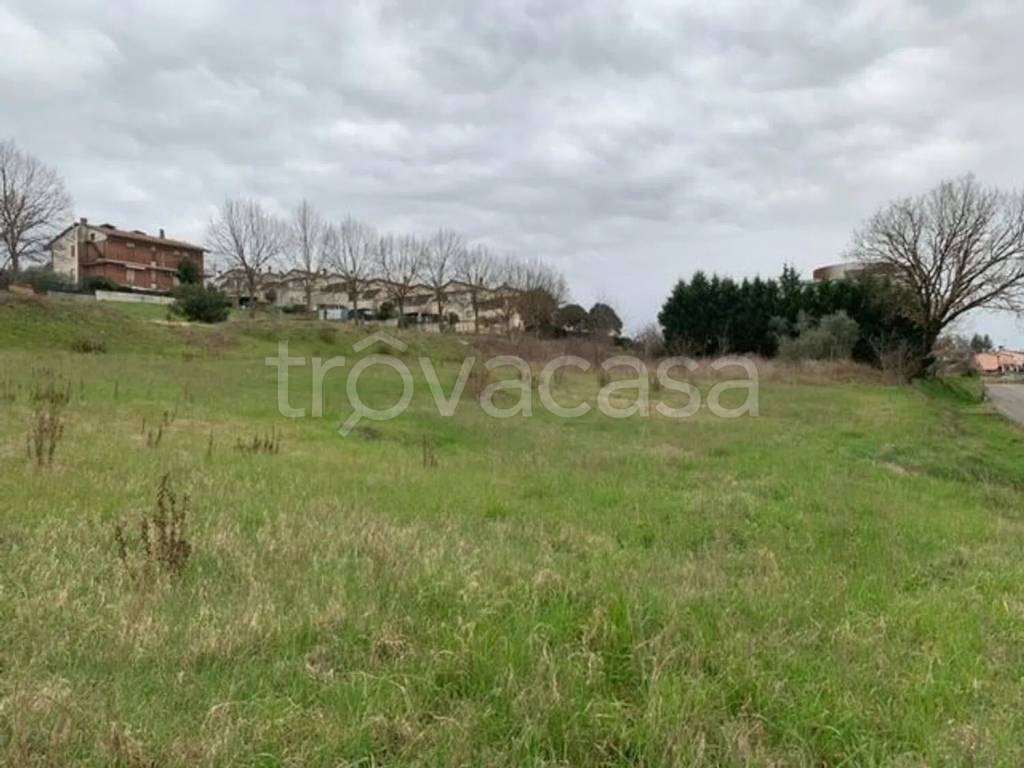 immagine annuncio 1 di 6