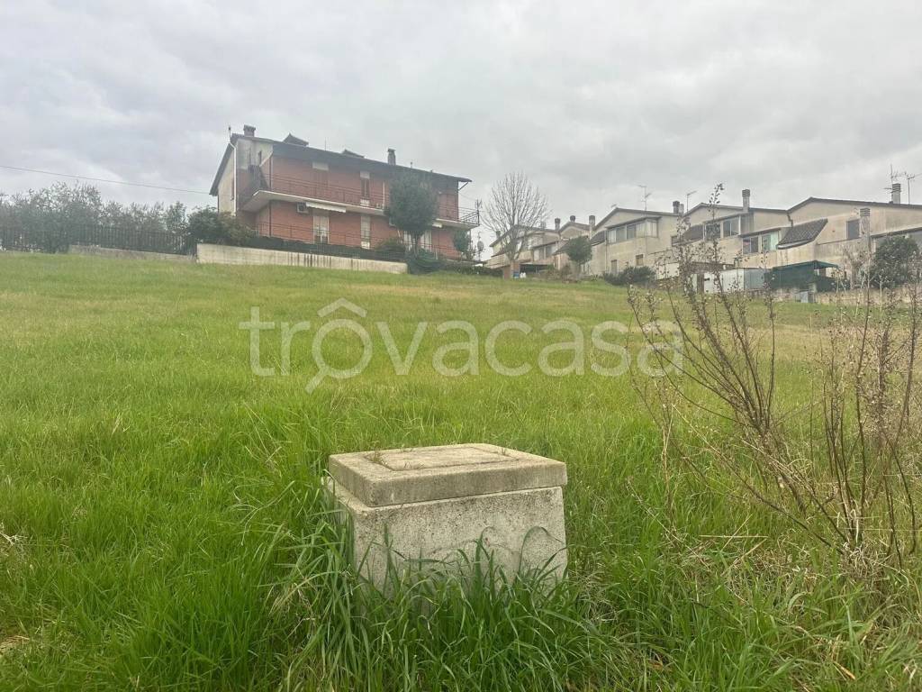 immagine annuncio 2 di 6