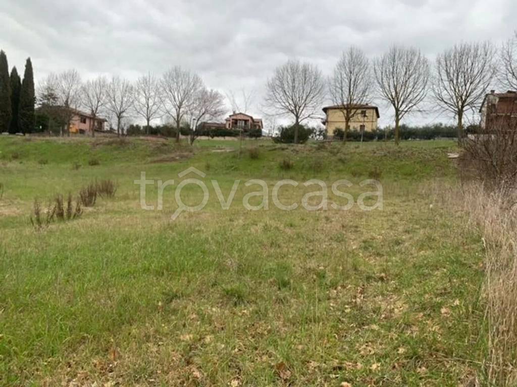 immagine annuncio 3 di 6