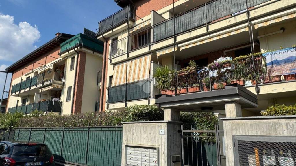 immagine annuncio 10 di 15