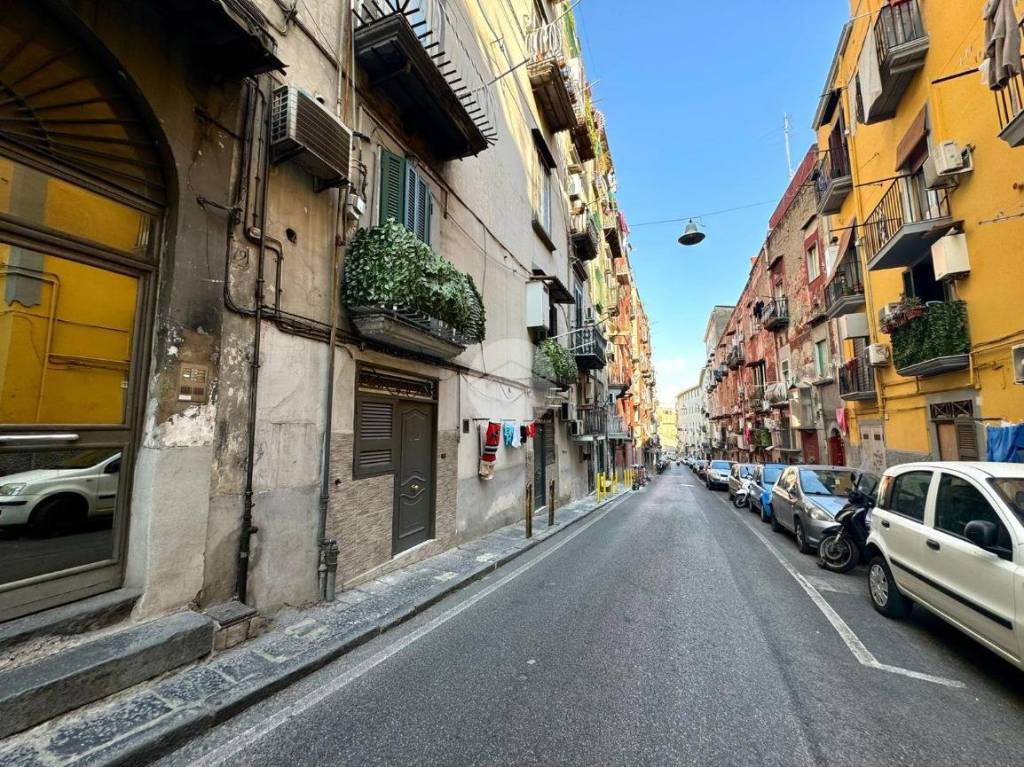 immagine annuncio 2 di 12