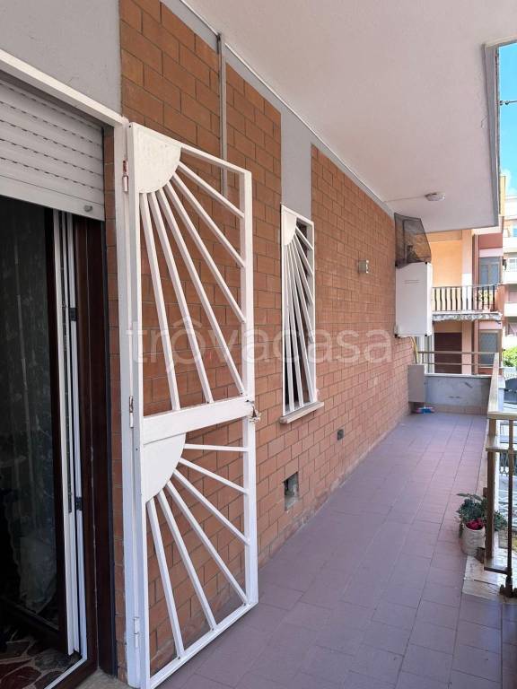 immagine annuncio 12 di 14