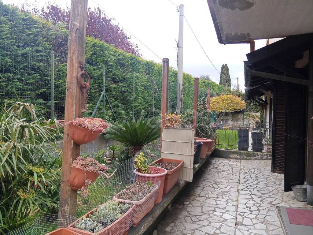 immagine annuncio 5 di 15