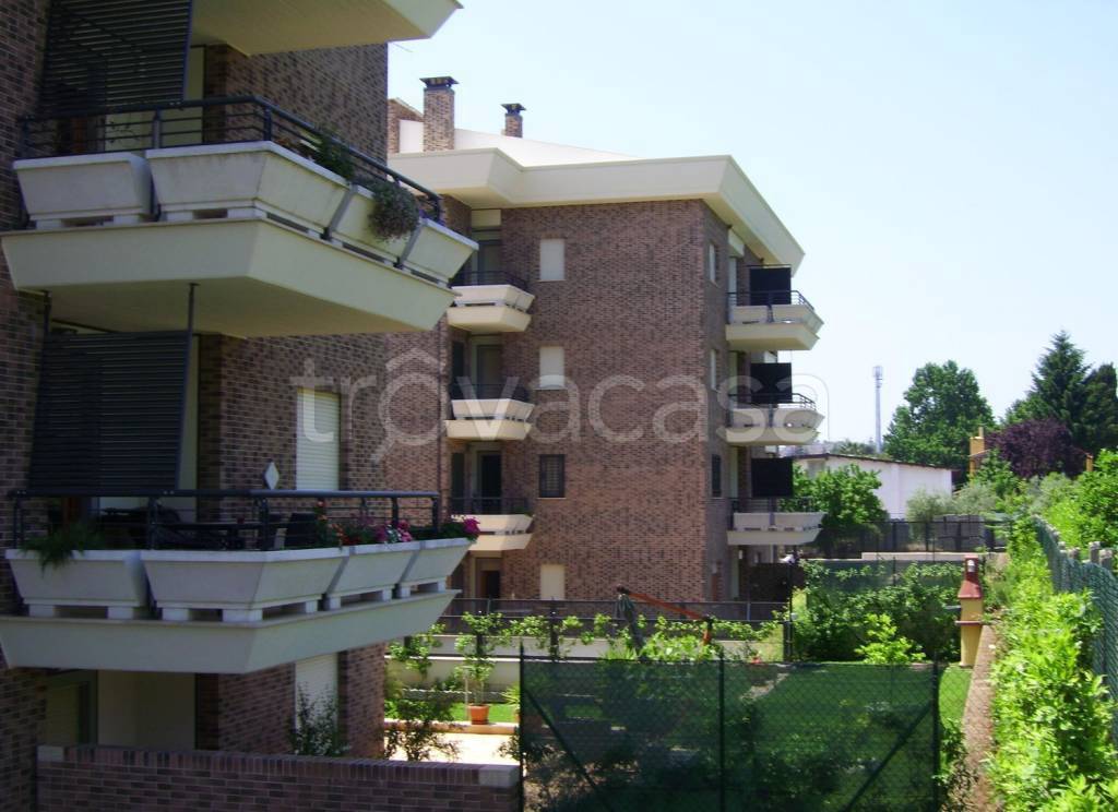 immagine annuncio 9 di 14