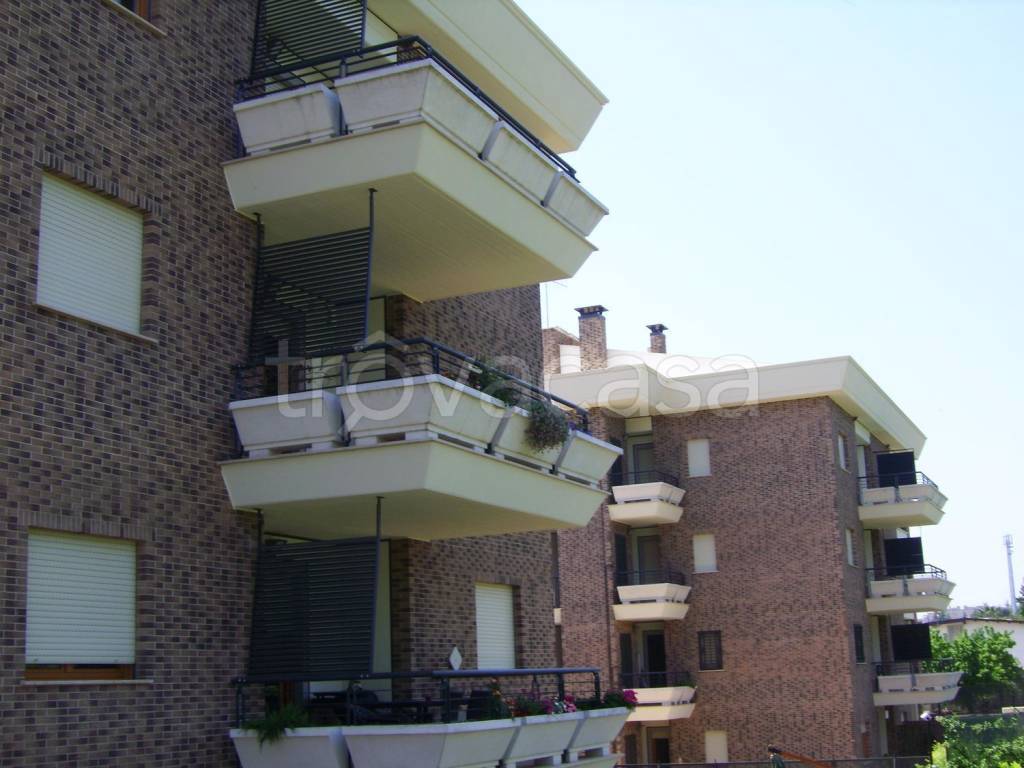 immagine annuncio 12 di 14