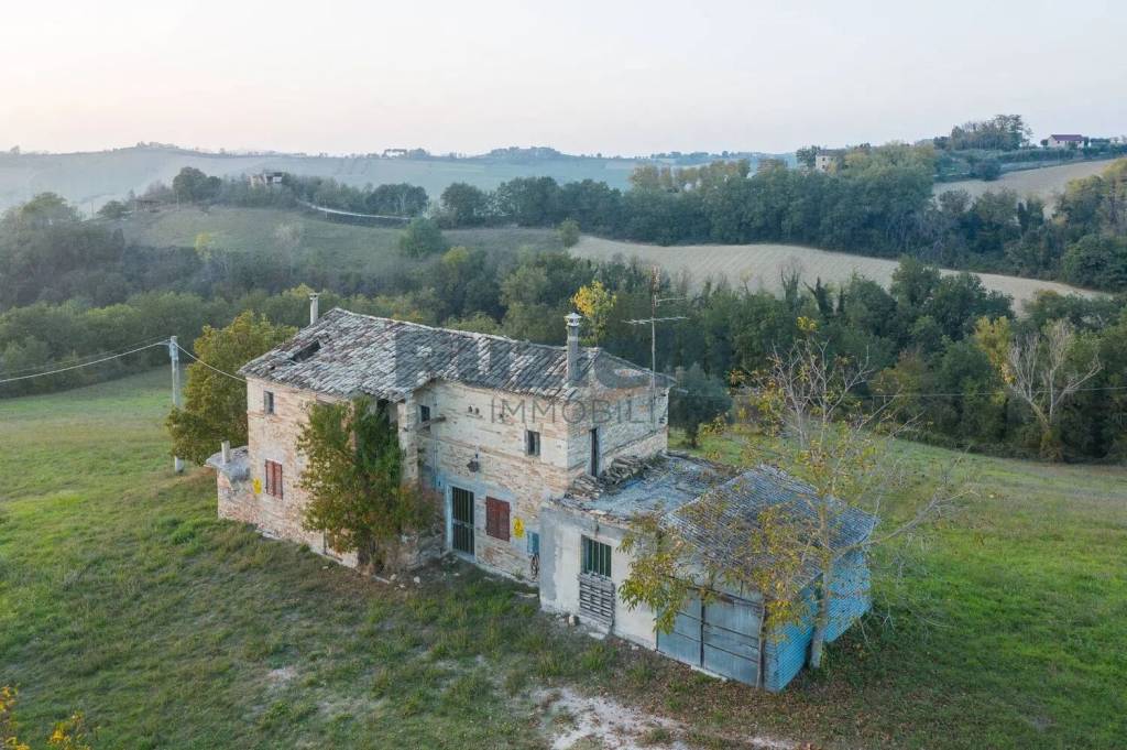 immagine annuncio 9 di 13