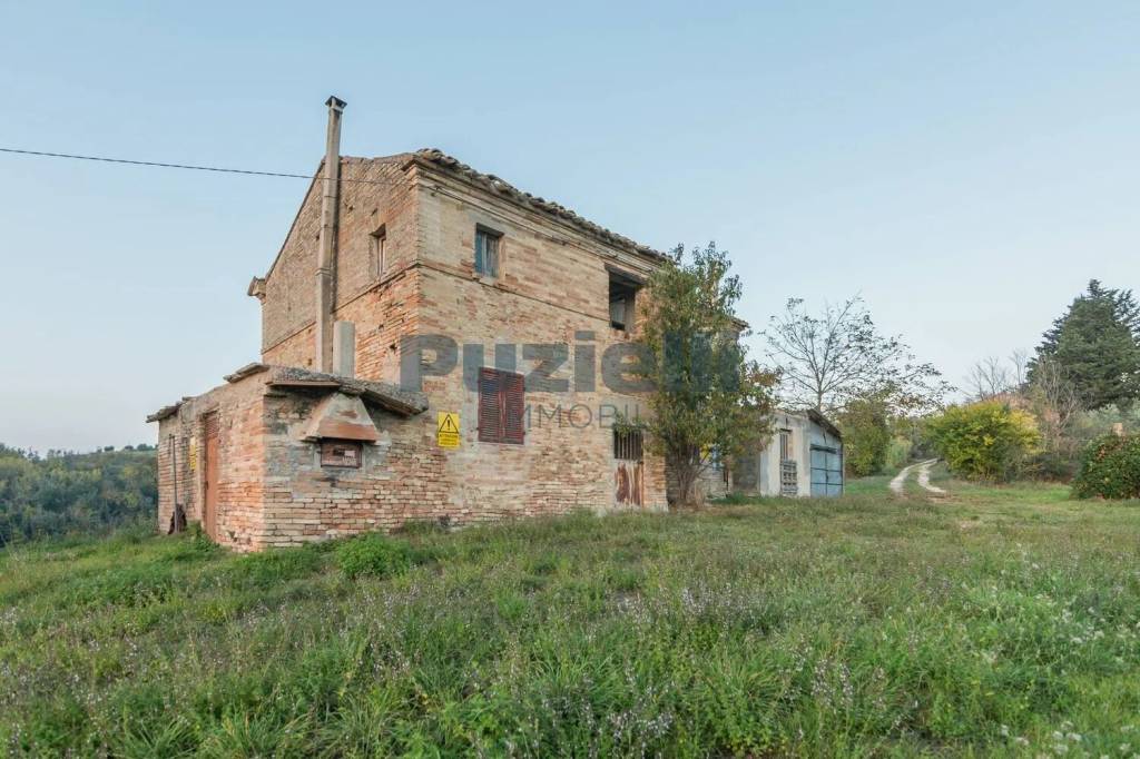 immagine annuncio 11 di 13