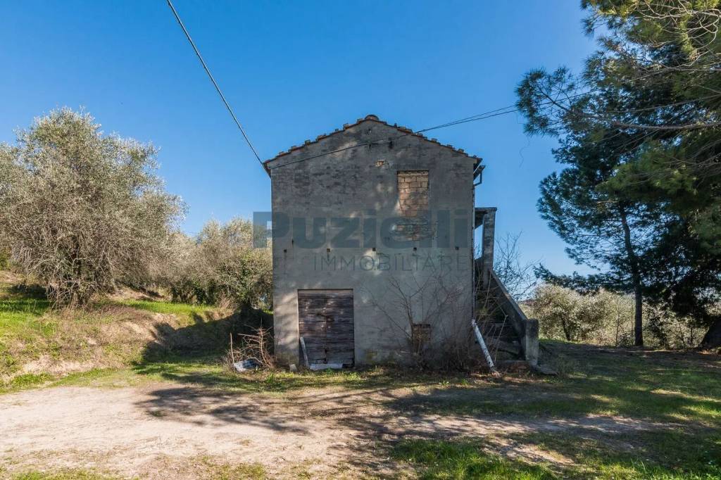 immagine annuncio 2 di 11