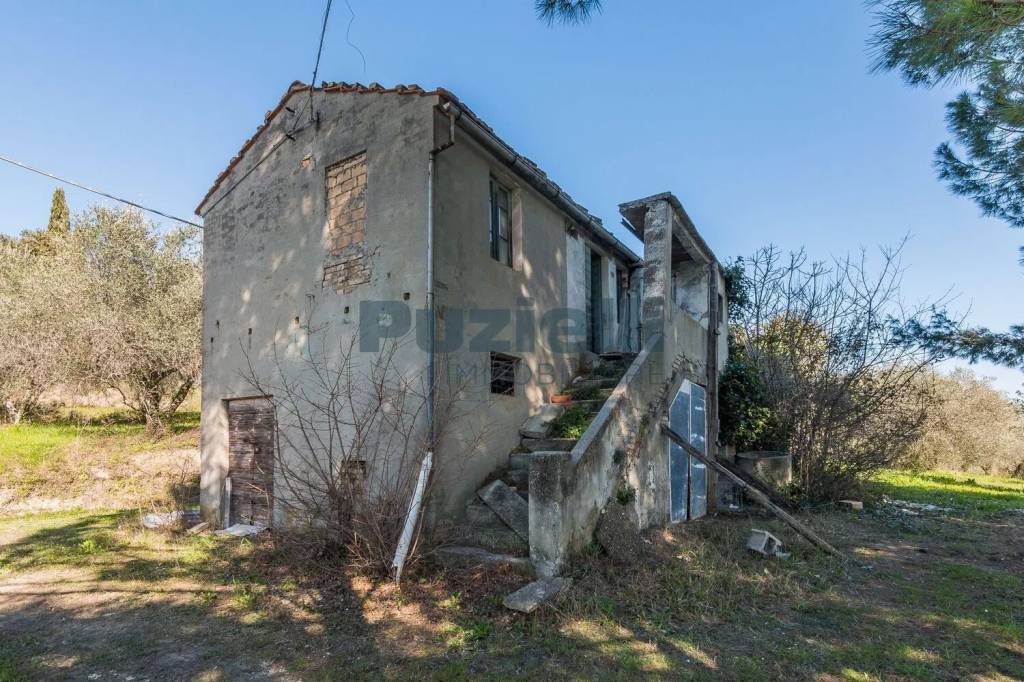 immagine annuncio 3 di 11