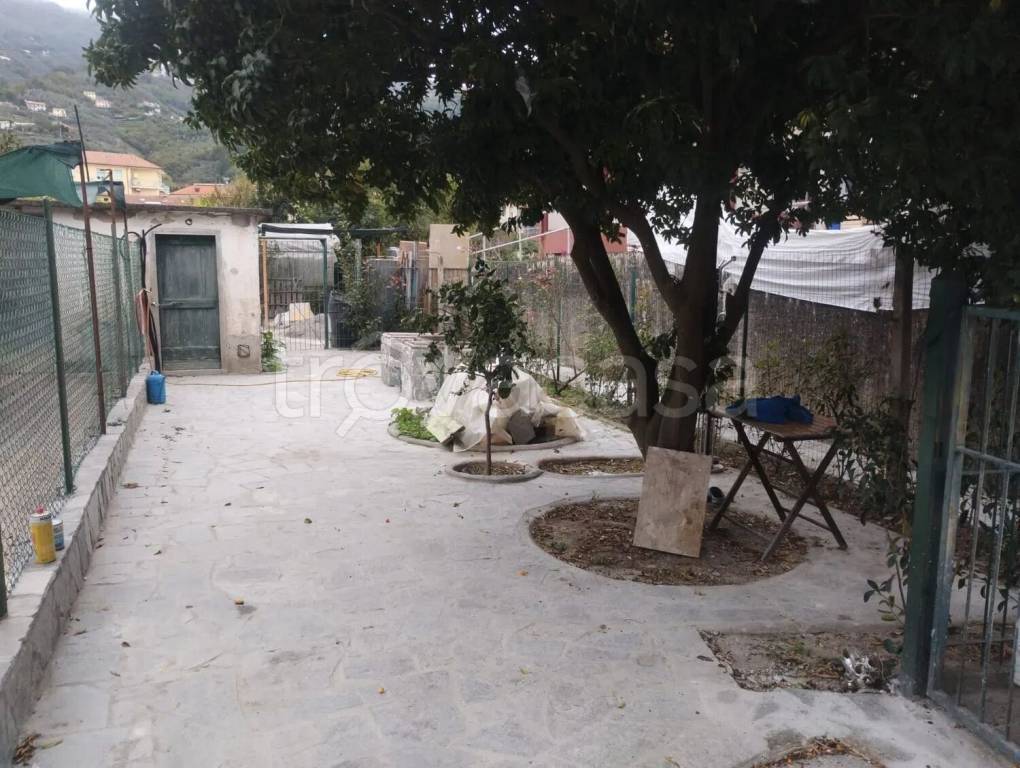 immagine annuncio 5 di 6