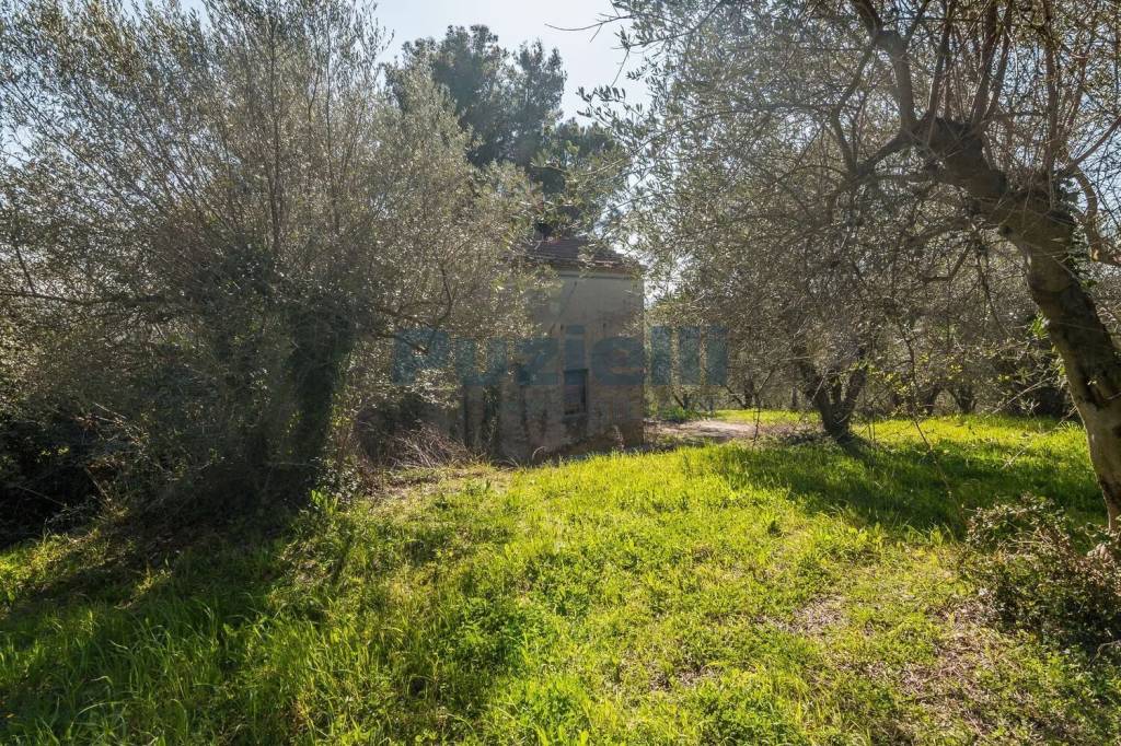 immagine annuncio 8 di 11