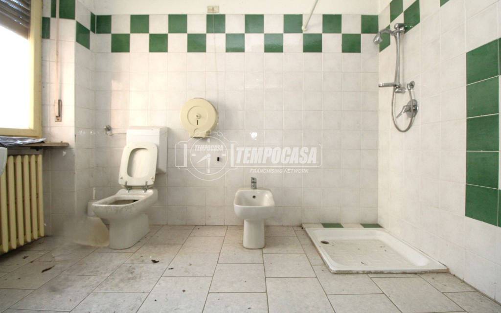 immagine annuncio 7 di 12
