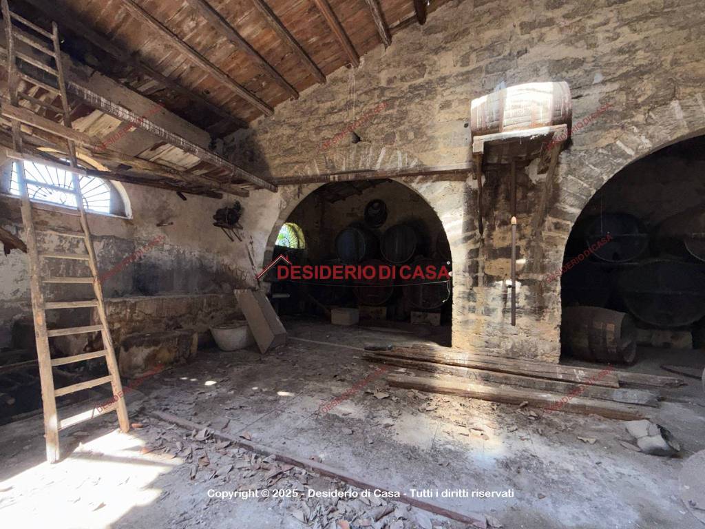 immagine annuncio 4 di 12