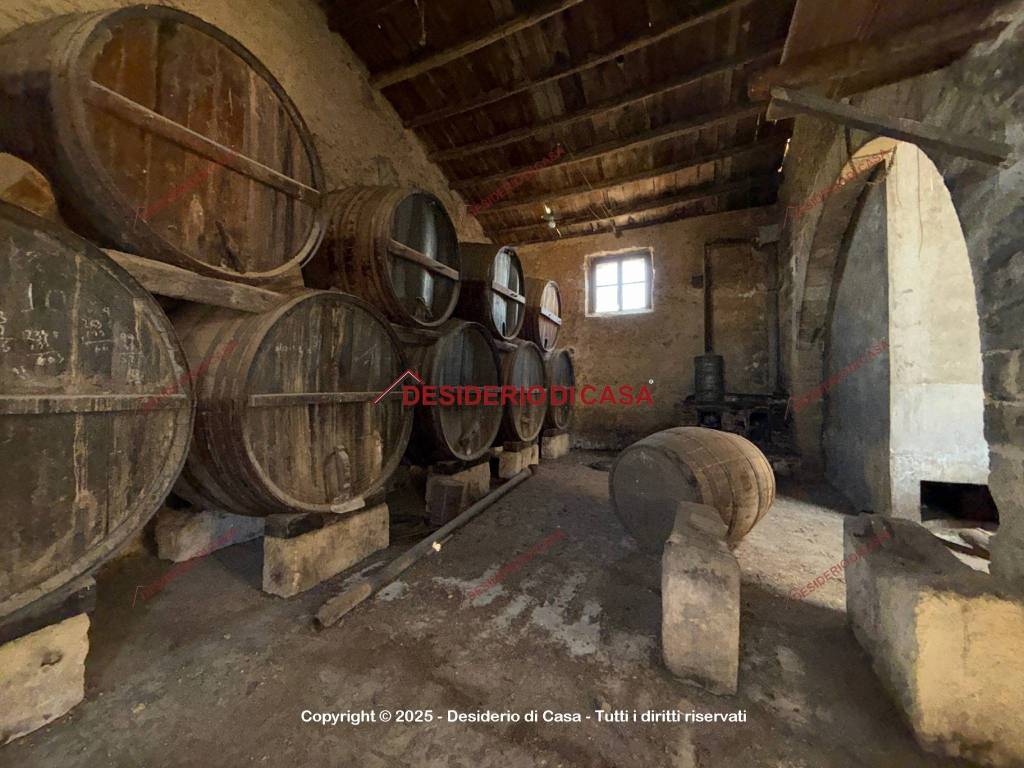 immagine annuncio 6 di 12