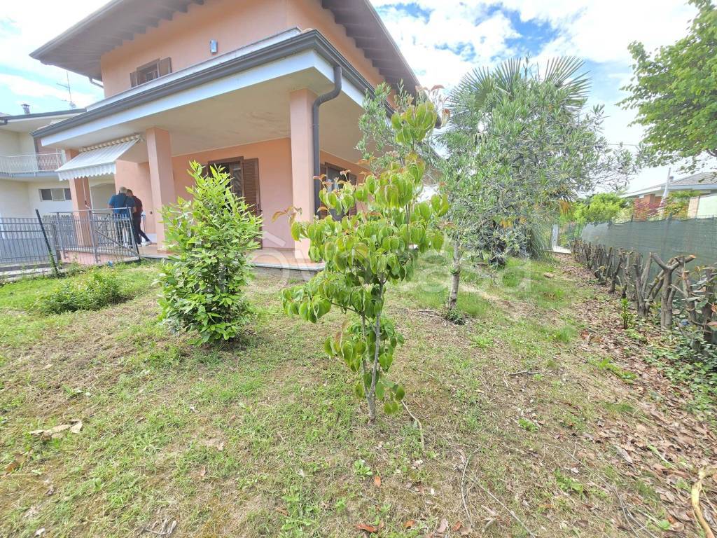 immagine annuncio 1 di 15
