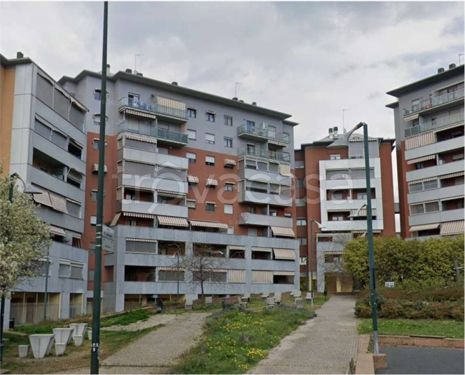 immagine annuncio 7 di 15