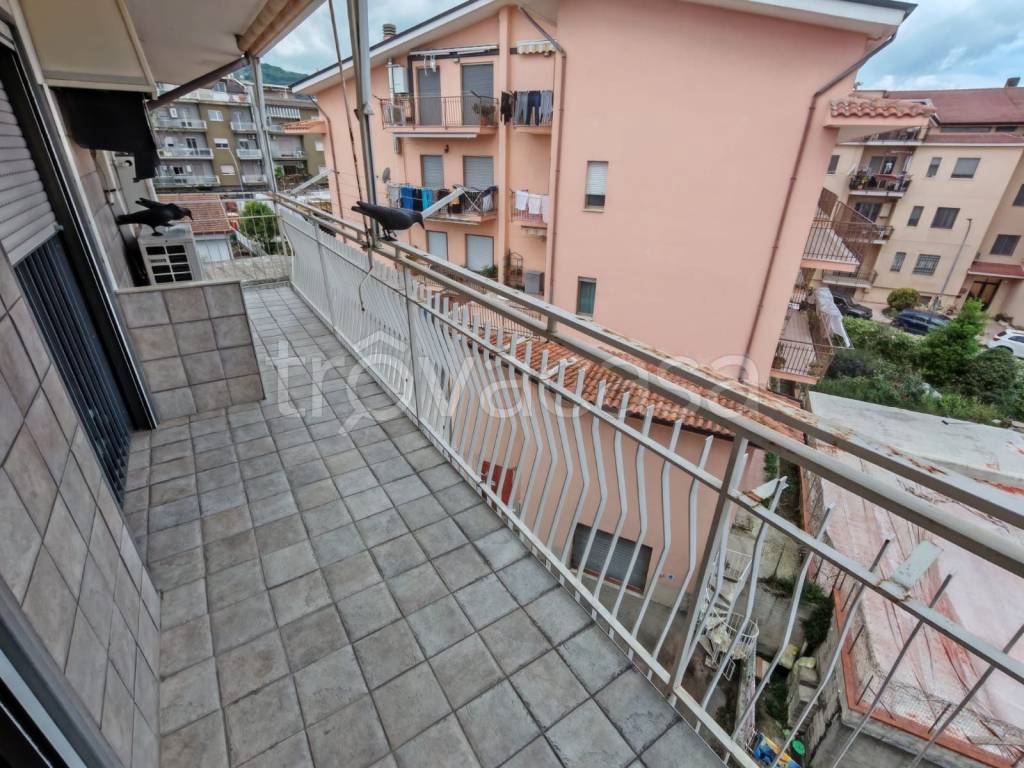 immagine annuncio 6 di 13