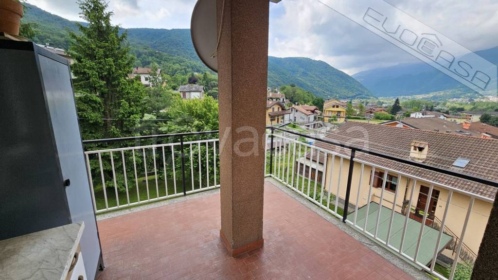 immagine annuncio 6 di 15