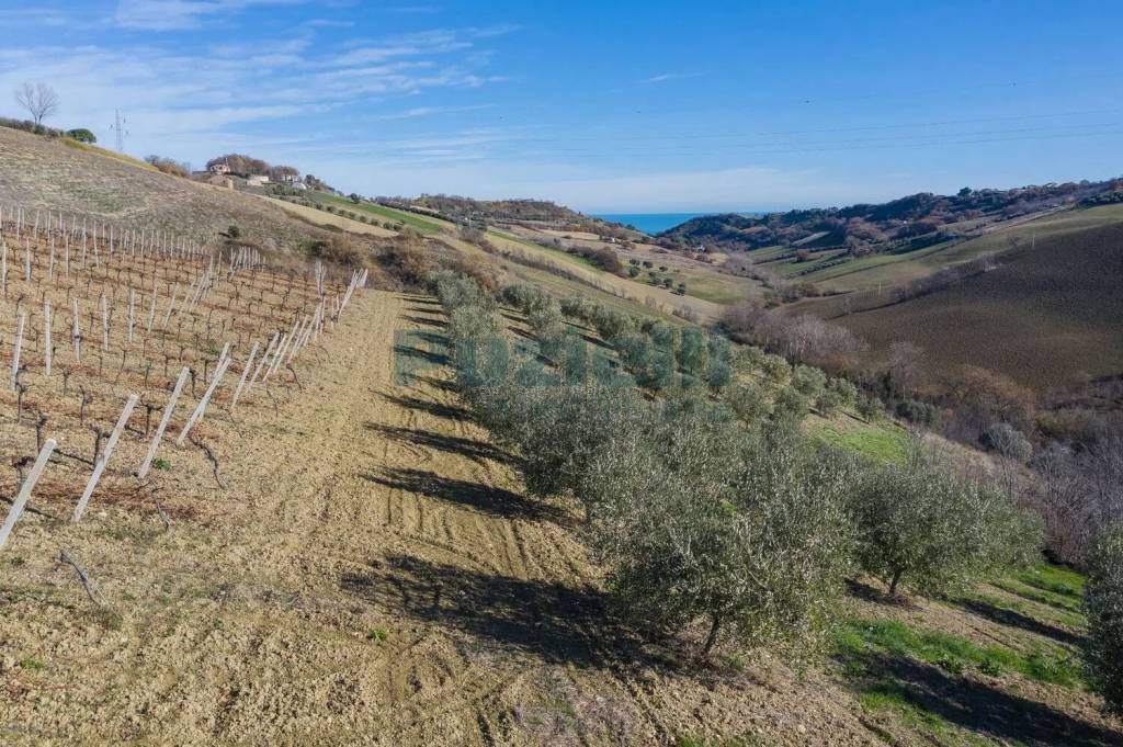 immagine annuncio 1 di 3