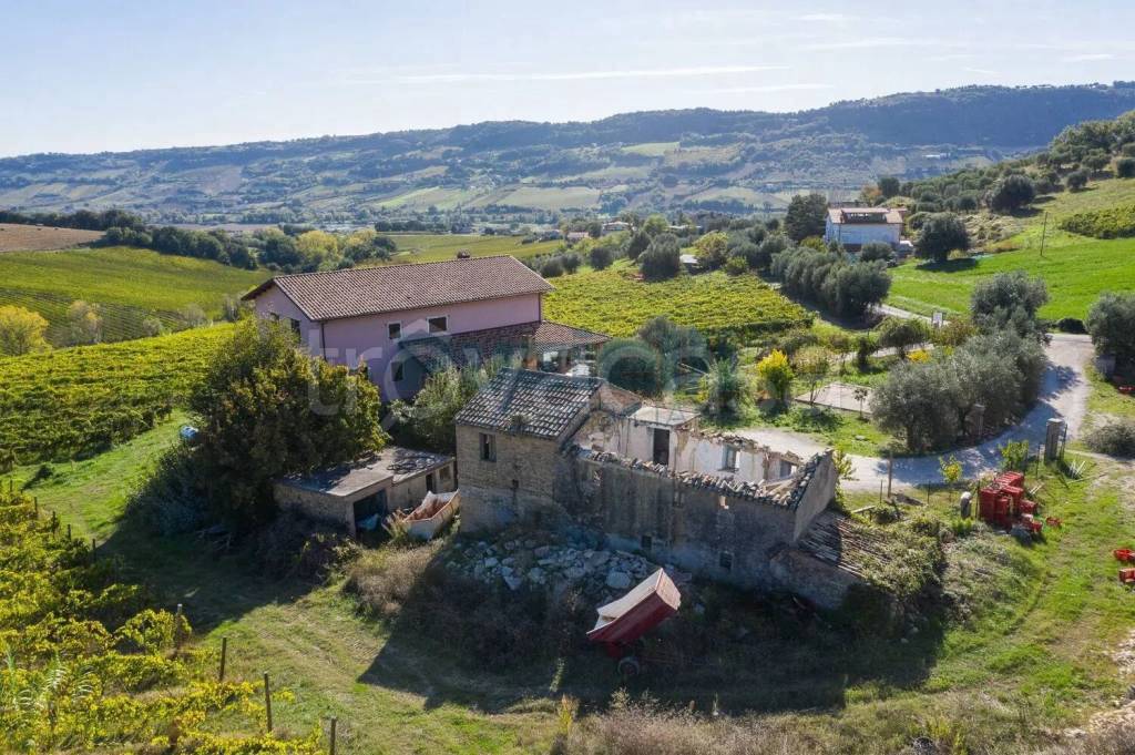 immagine annuncio 1 di 3