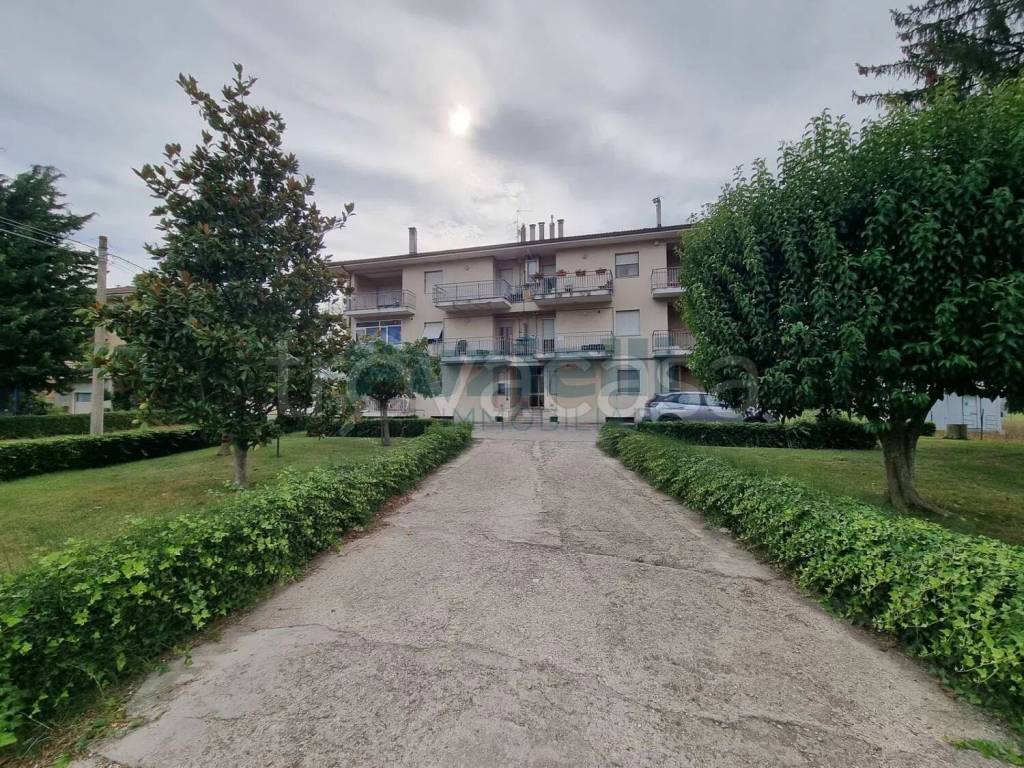 immagine annuncio 1 di 12