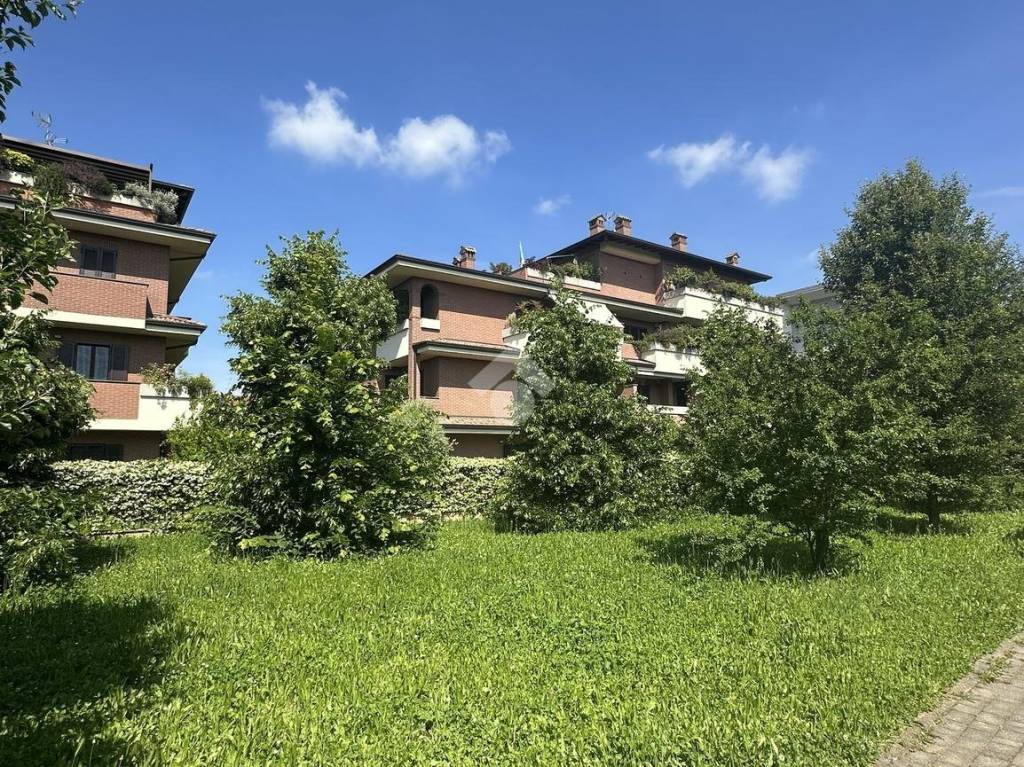 immagine annuncio 1 di 15