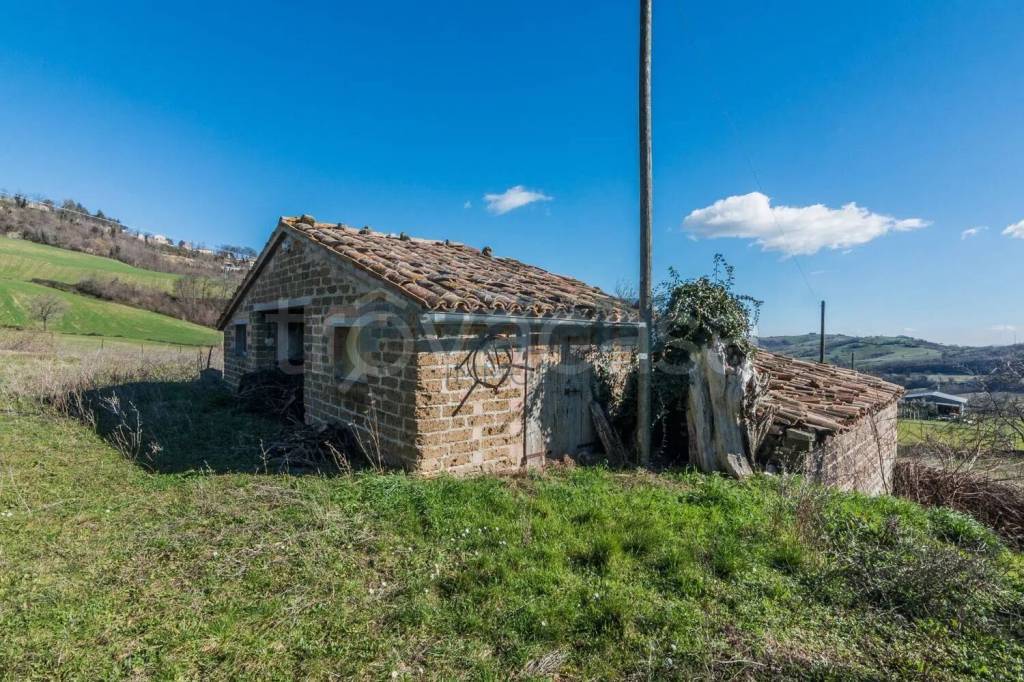 immagine annuncio 10 di 15