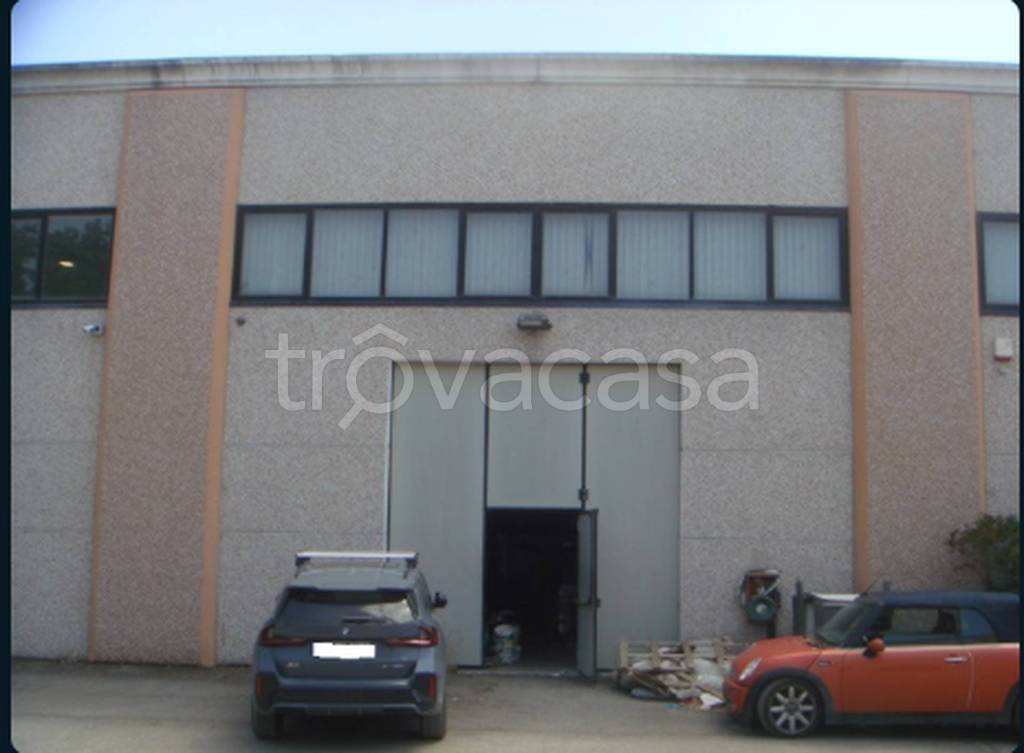 immagine annuncio 6 di 11