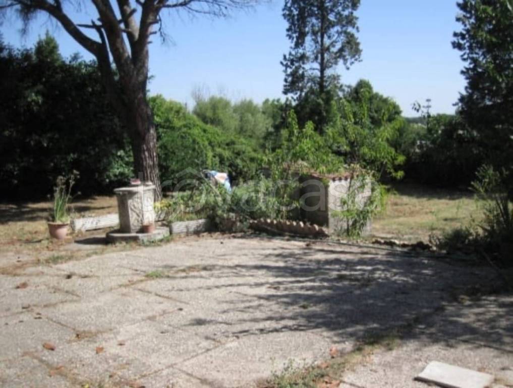 immagine annuncio 6 di 14