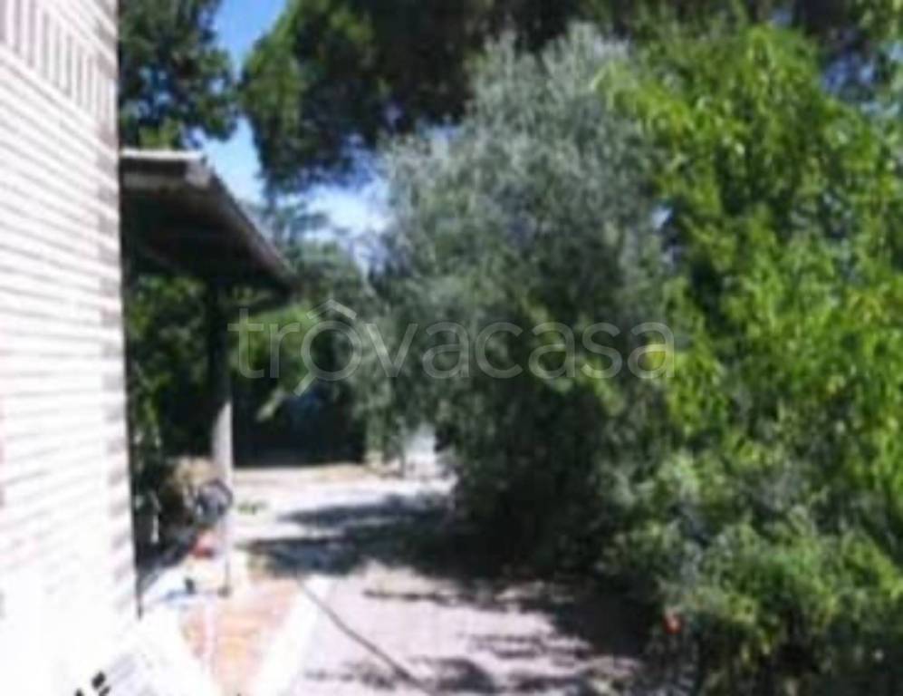 immagine annuncio 11 di 14