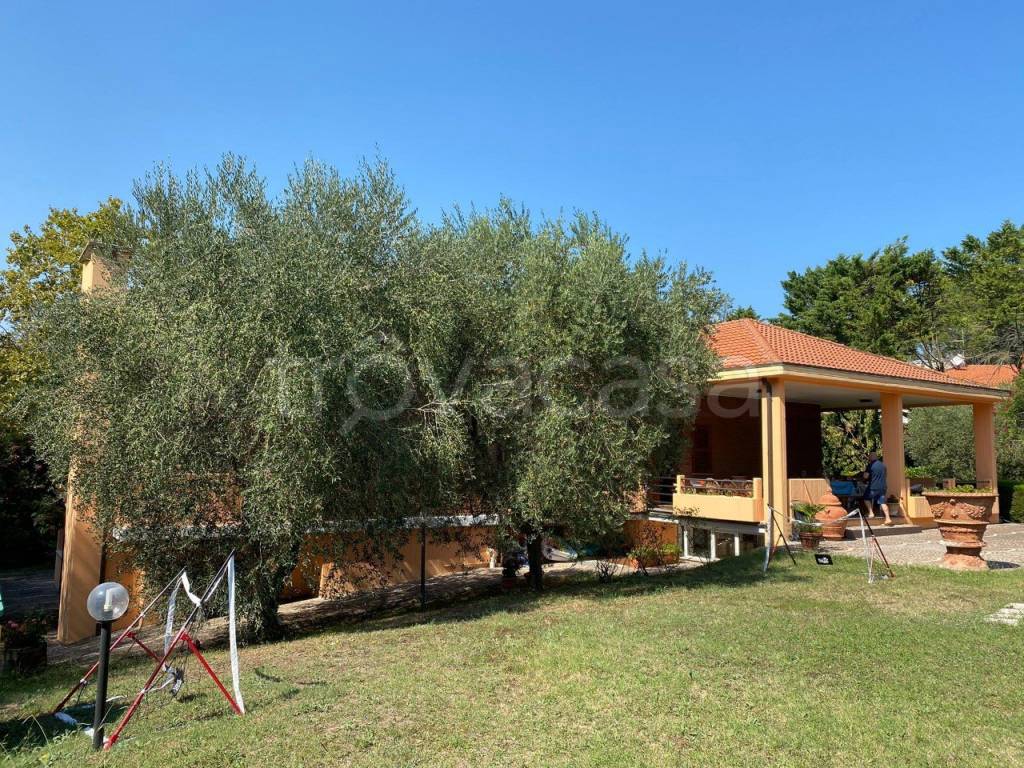 immagine annuncio 4 di 13