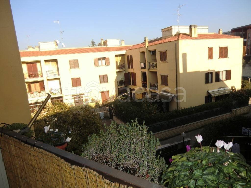 immagine annuncio 11 di 12