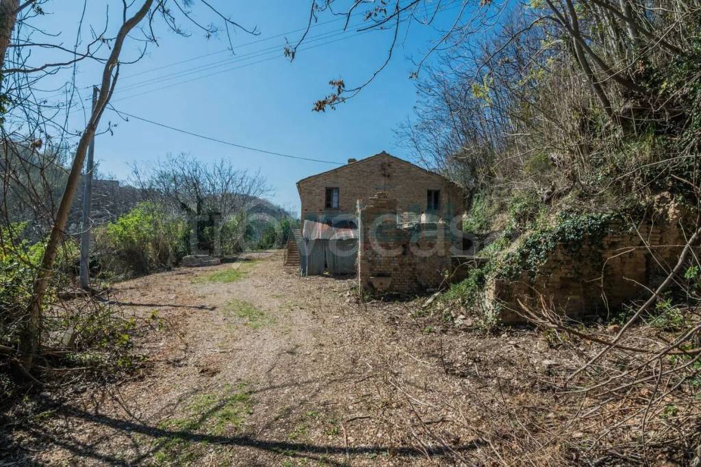 immagine annuncio 5 di 6