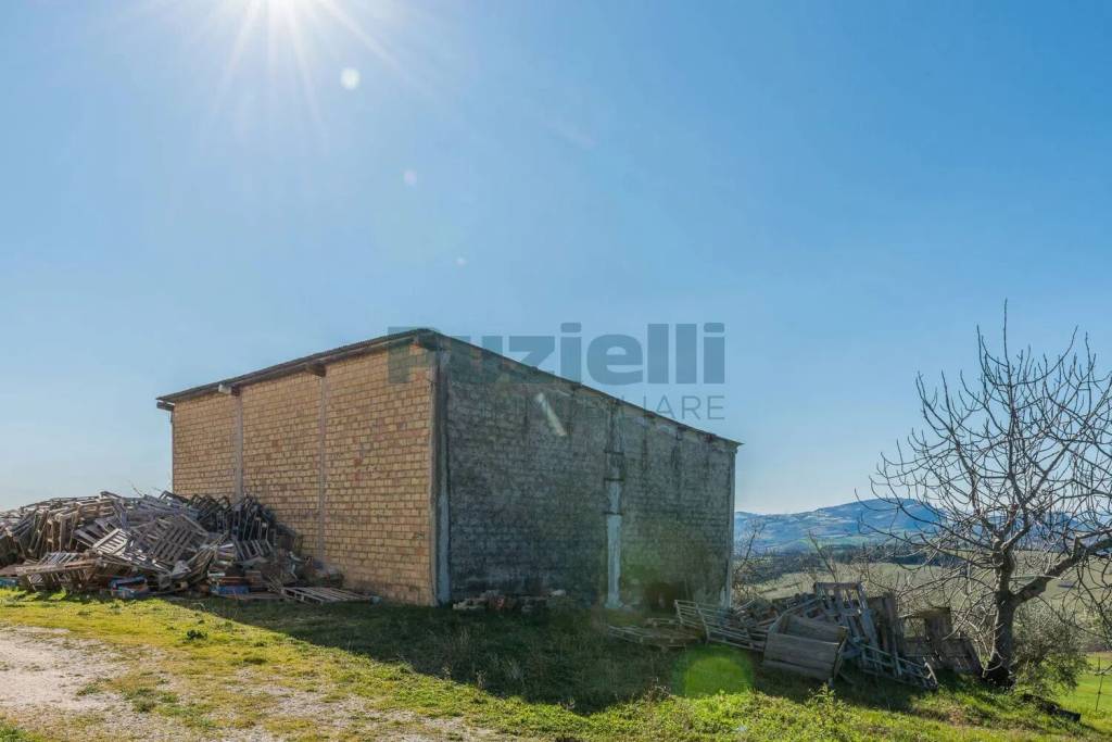 immagine annuncio 11 di 13
