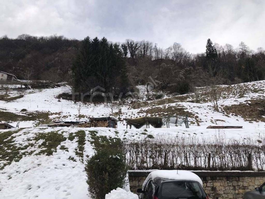 immagine annuncio 6 di 8
