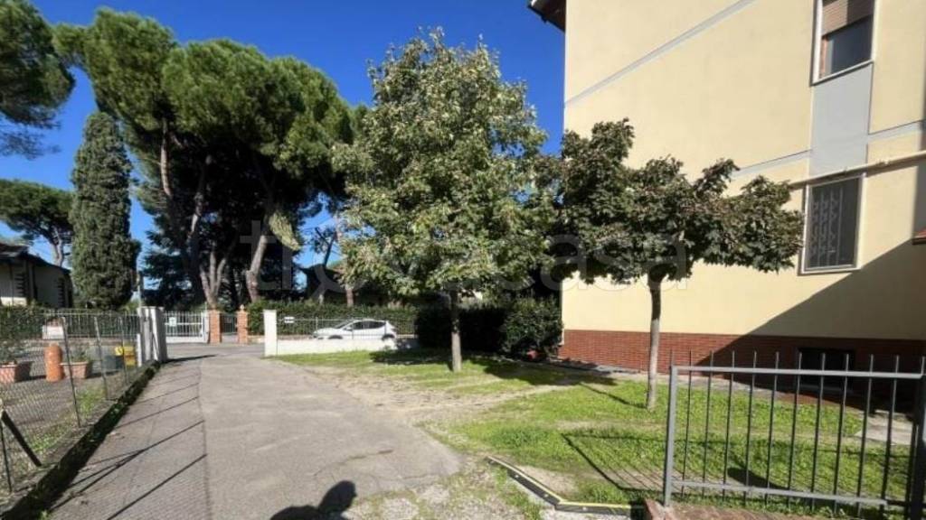 immagine annuncio 5 di 9