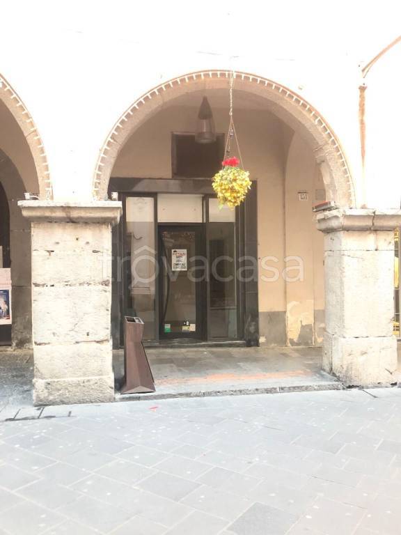 immagine annuncio 3 di 7