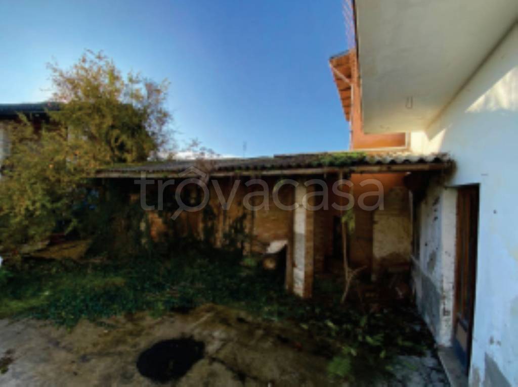 immagine annuncio 3 di 11
