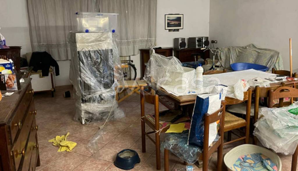 immagine annuncio 11 di 14